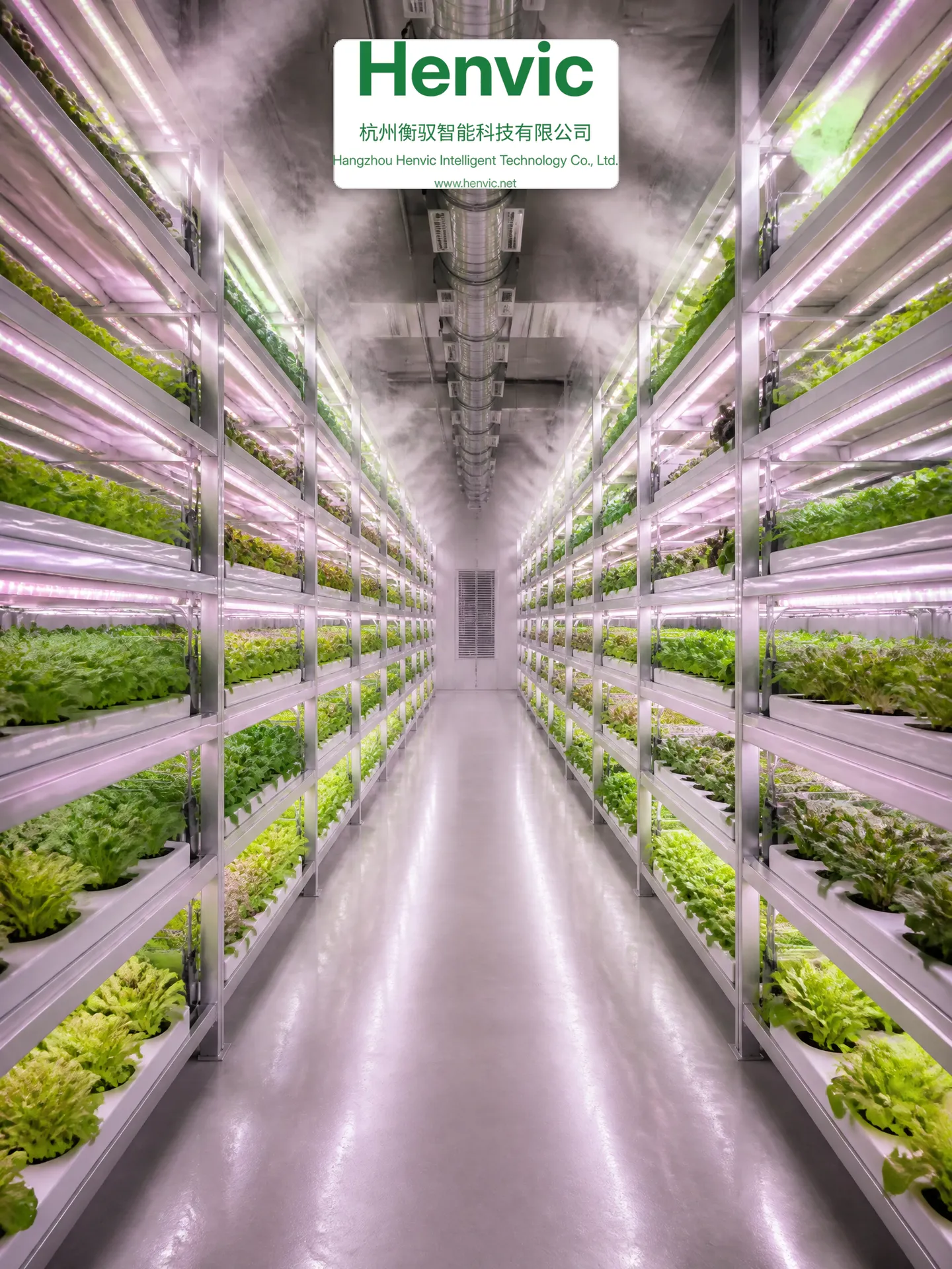 Interior de la cabina inteligente de cultivo de frutas y hortalizas de gran formato
