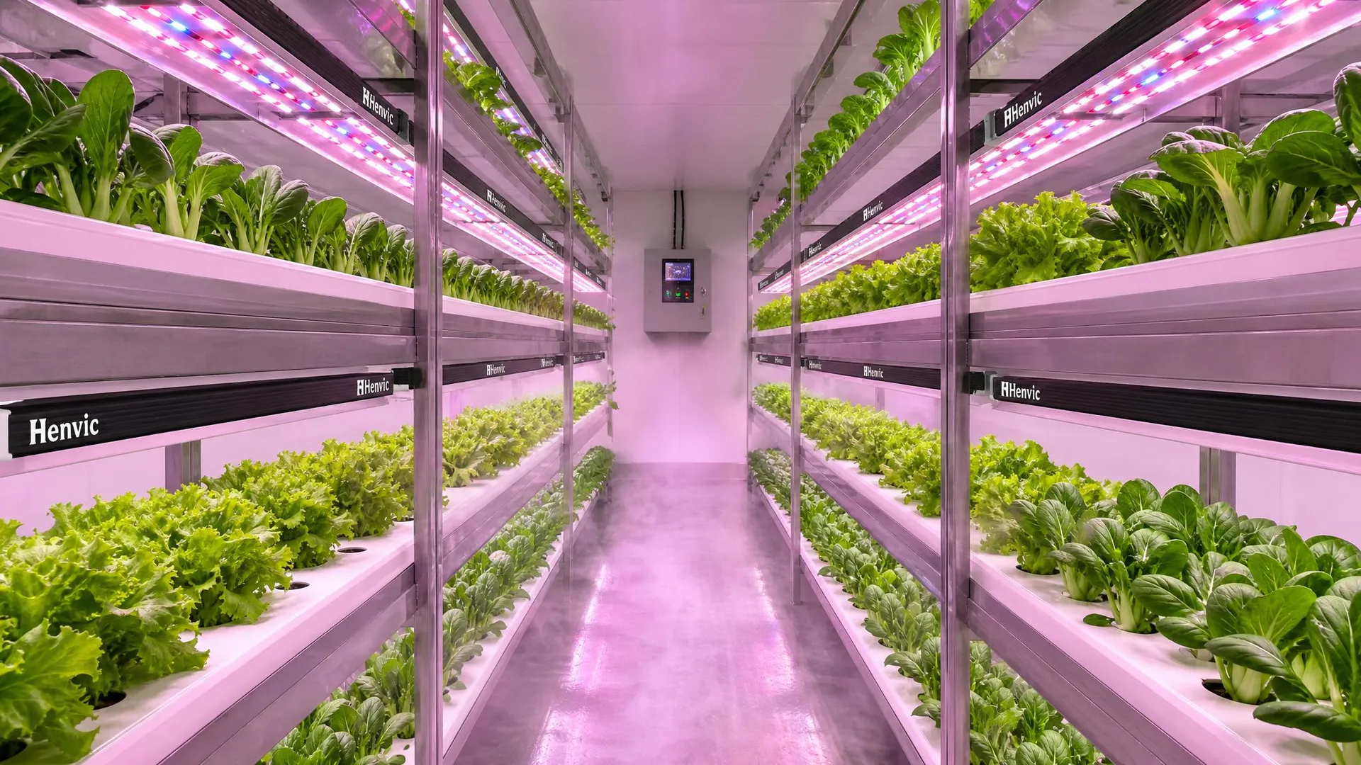 Luz de Relleno de la Cabina Inteligente de Cultivo de Verduras y Luz Solar de Relleno