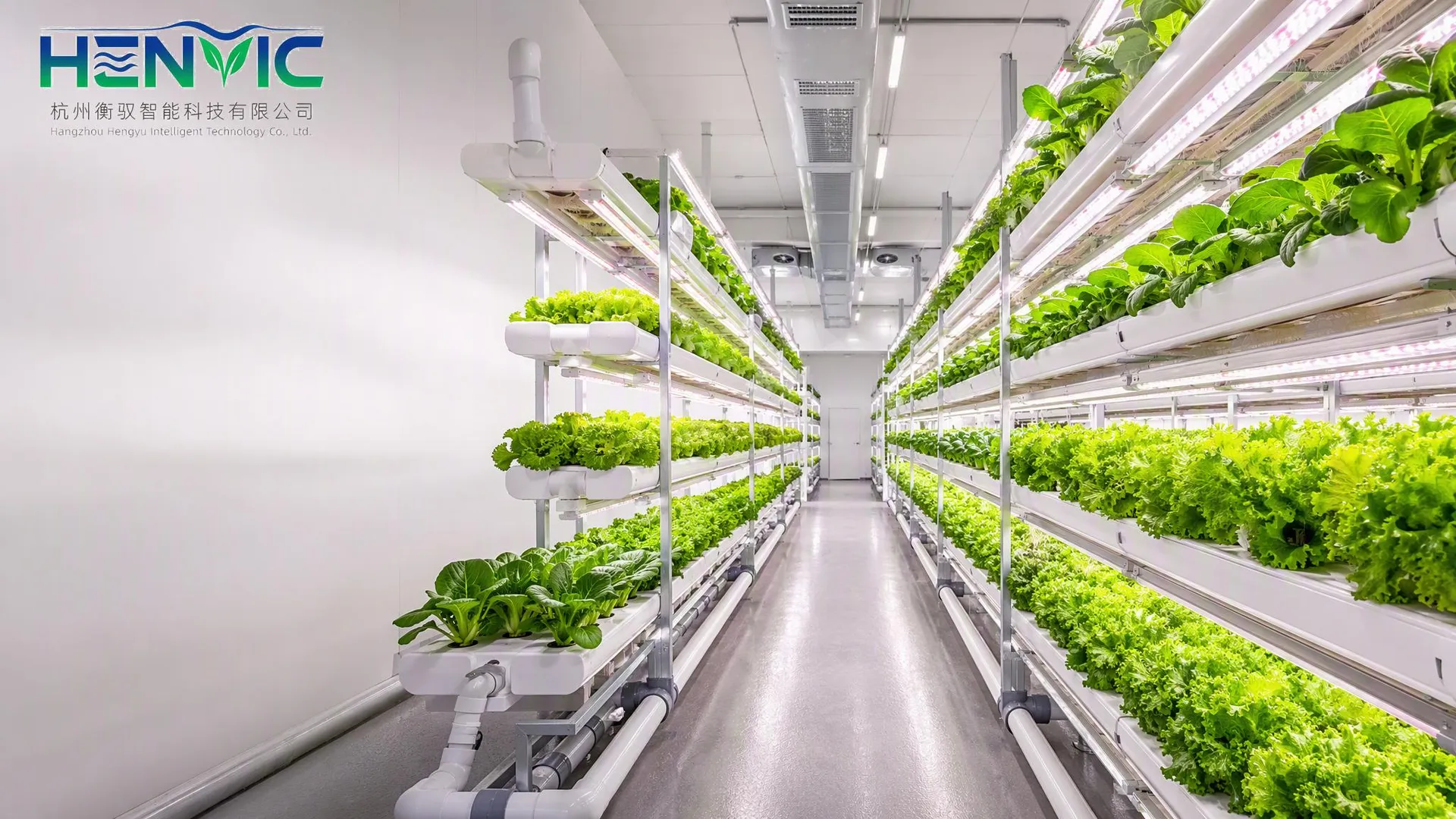 Containerized Mushroom Cultivation Systems | Henvic