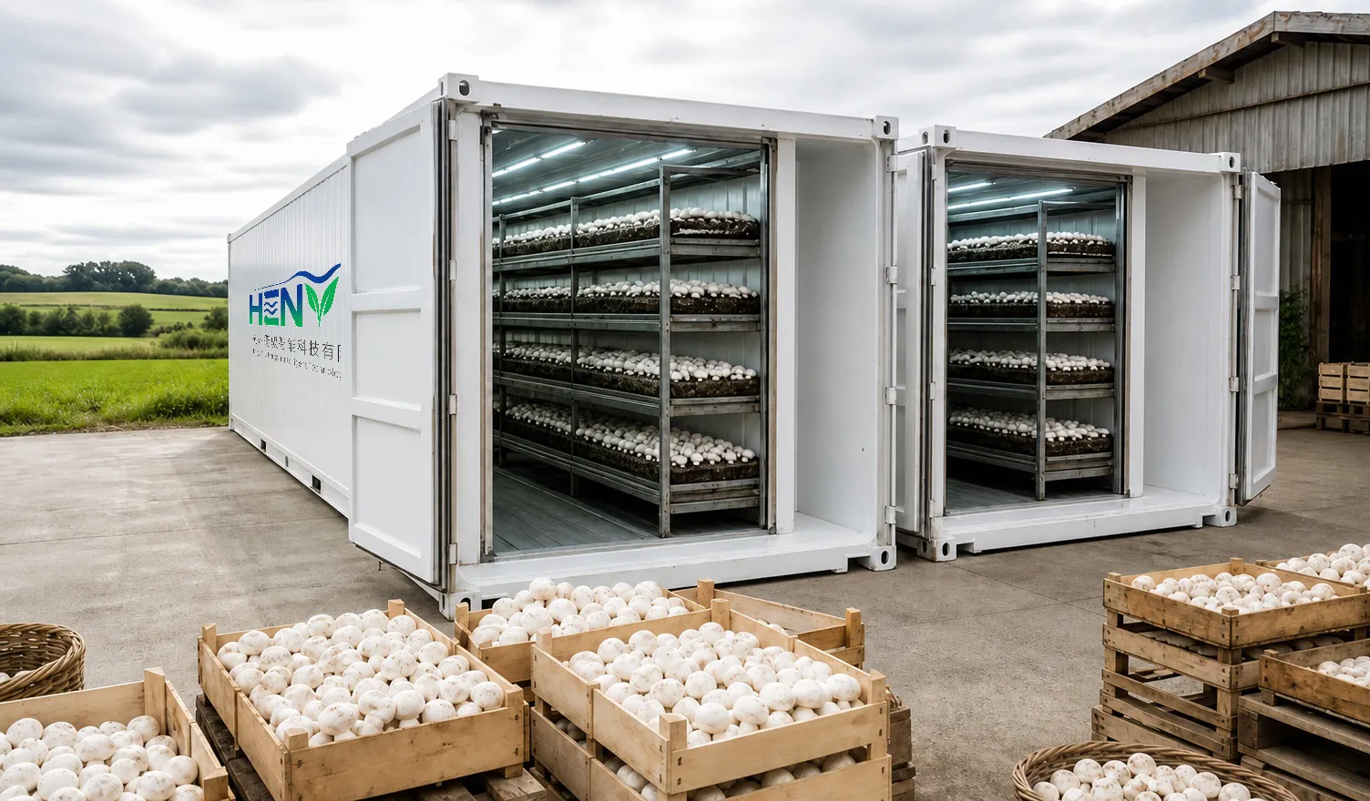 Solución de suministro de vegetales frescos para buques pesqueros de altura