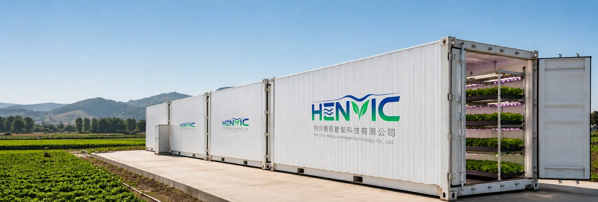 The Development of Mushroom Cultivation Container Technology: From Cellar Bags to Smart Farms